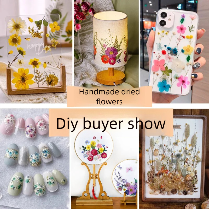 The Plant Parent - Mixed Dried Flowers, Pressed Flowers, Resin