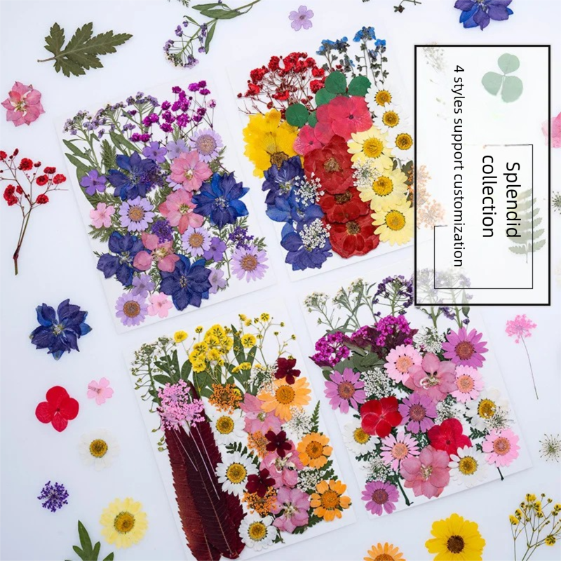 Mixed Dried Flowers, Pressed F – обзор и цена The Plant Parent