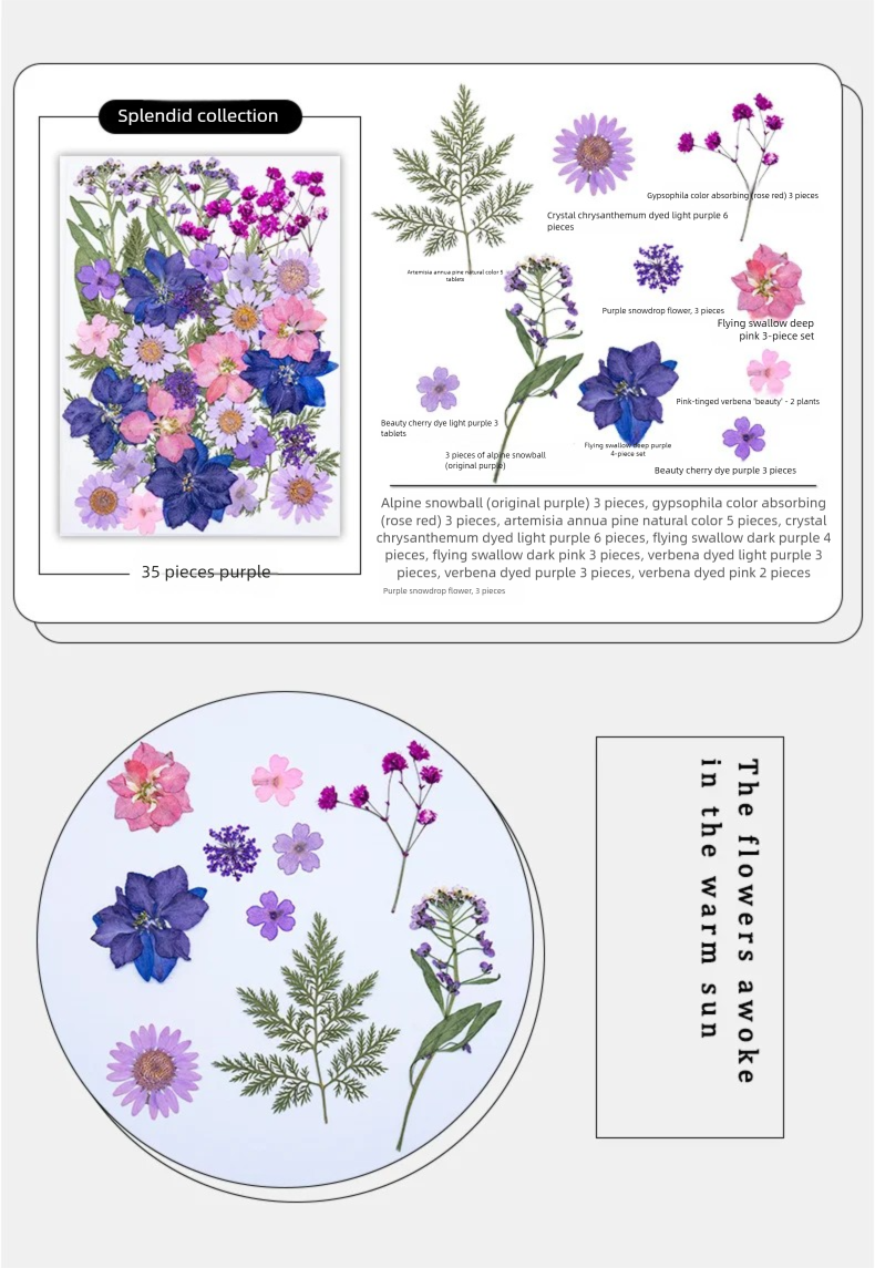 Mixed Dried Flowers, Pressed F – обзор и цена The Plant Parent